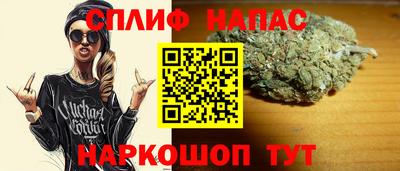 прущие крисы Будённовск
