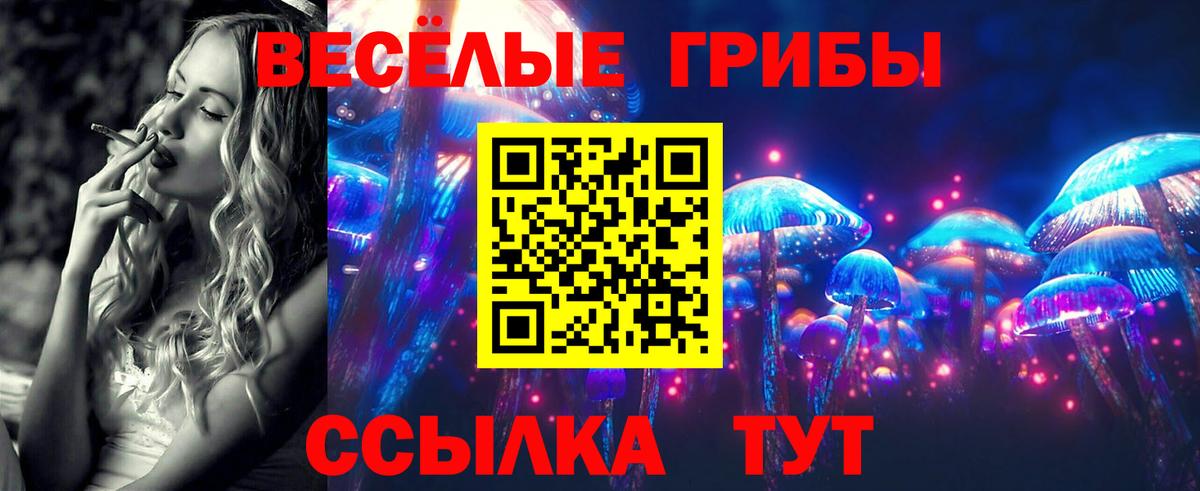 Галлюциногенные грибы Magic Shrooms  Вход с VPN  Псилоцибиновые грибы Cubensis  Ростов Великий 